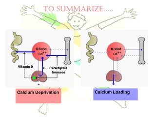 TO SUMMARIZE…..
Calcium Deprivation Calcium Loading
 