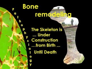 OSTEOMALACIA
OSTEOPOROSIS
 