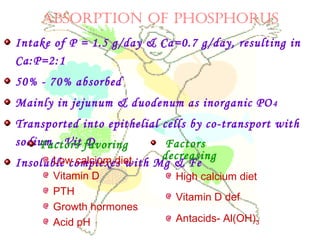 ABSORPTION OF PHOSPHORUS
Intake of P = 1.5 g/day & Ca=0.7 g/day, resulting in
Ca:P=2:1
50% - 70% absorbed
Mainly in jejunum & duodenum as inorganic PO4
Transported into epithelial cells by co-transport with
sodium - Vit D
Insoluble complexes with Mg & Fe
Factors favoring
Low calcium diet
Vitamin D
PTH
Growth hormones
Acid pH
Factors
decreasing
High calcium diet
Vitamin D def
Antacids- Al(OH)3
 