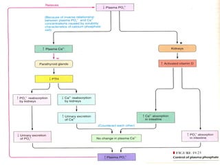 STORAGE:
85% in bones and teeth
15% in liver, pancreas & brain
EXCRETION :
2
/3 in Urine
Fecal Phosphorus
 