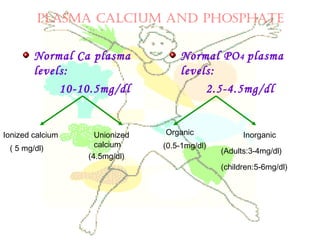PLASMA CALCIUM AND PHOSPHATE
Normal Ca plasma
levels:
10-10.5mg/dl
Normal PO4 plasma
levels:
2.5-4.5mg/dl
Ionized calcium Unionized
calcium( 5 mg/dl)
(4.5mg/dl)
Organic Inorganic
(0.5-1mg/dl)
(Adults:3-4mg/dl)
(children:5-6mg/dl)
 