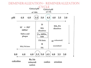 pH 6.8 6.0 5.5 5.0 4.5 4.0 3.5 3.0
8.0 6.8 6.0 5.5 5.0 4.5 4.0 3.5 3.0
Critical pH
of HA
DEMINErALIZATION- rEMINErALIZATION
CyCLE
Critical pH
of FA
D
HA
dissolves
Ca, HPO4,
OH
FA form
R
FA
HA, FA
dissolves
H+ exhausted/
neutralised
H+
+ PO4
HPO42-
Saliva and
plaque
HA, FA form
calculus
Re/de
minerali
sation
caries erosion
 