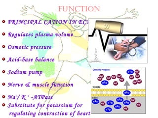 ICF
ECF
fUNCTION
PRINCIPAL CATION IN ECF
Regulates plasma volume
Osmotic pressure
Acid-base balance
Sodium pump
Nerve & muscle function
Na+
/ K +
-ATPase
Substitute for potassium for
regulating contraction of heart
 