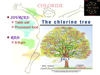 ChLOrIDE
SOURCES:
Table salt
Processed food
RDA:
6-9 gm
 