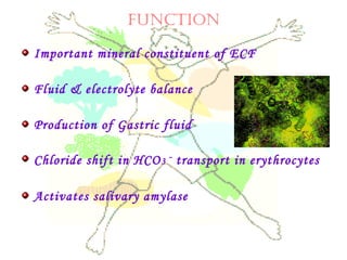 fUNCTION
Important mineral constituent of ECF
Fluid & electrolyte balance
Production of Gastric fluid
Chloride shift in HCO3 –
transport in erythrocytes
Activates salivary amylase
 