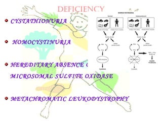DEfICIENCy
CYSTATHIONURIA
HOMOCYSTINURIA
HEREDITARY ABSENCE OF
MICROSOMAL SULFITE OXIDASE
METACHROMATIC LEUKODYSTROPHY
 