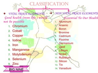 CLASSIfICATION
VITAL TRACE ELEMENTS:
Good health (even life ) would
not be possible
1. Chromium
2. Cobalt
3. Copper
4. Iodine
5. Iron
6. Manganese
7. Molybdenum
8. Selenium
9. Zinc
NON VITAL TRACE ELEMENTS:
Essential To Our Health
1. Aluminum
2. Arsenic
3. Boron
4. Bromine
5. Cadmium
6. Fluorine
7. Germanium
8. Lead
9. Lithium
10. Nickel
11. Rubidium
12. Silicon
13. Tin
14. Vanadium
BIG NINE
 
