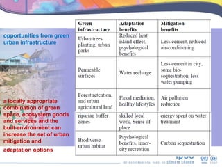 Cities and Climate Change - Cities and climate change mitigation | PPTX