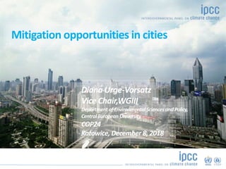 ©Ocean/Corbis
Name
Role
Mitigation opportunities in cities
Diana Urge-Vorsatz
Vice Chair,WGIII
Department of Environmental...