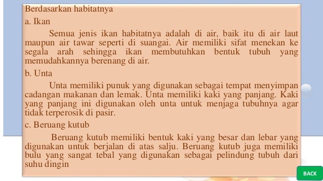 2 Cara Makhluk Hidup Beradaptasi Dengan Lingkungannya Vivi Rinda
