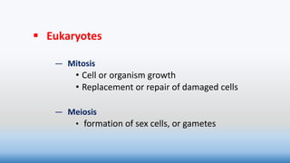 Eukaryotes
— Mitosis
• Cell or organism growth
• Replacement or repair of damaged cells
— Meiosis
• formation of sex cells, or gametes
 