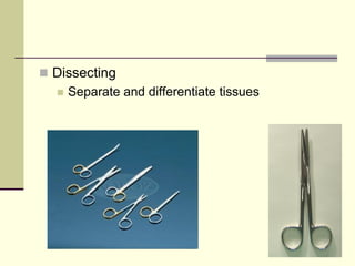  Dissecting
 Separate and differentiate tissues
 