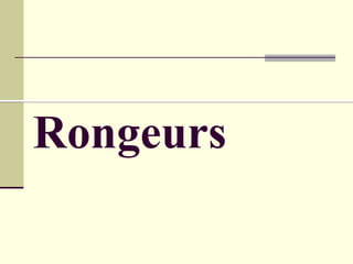 Rongeurs
 