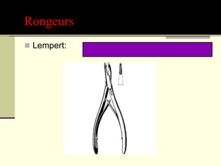 Rongeurs
 Lempert:
 