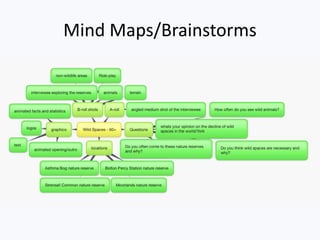 Mind Maps/Brainstorms
 