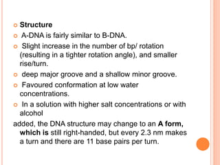  Structure
 A-DNA is fairly similar to B-DNA.
 Slight increase in the number of bp/ rotation
(resulting in a tighter rotation angle), and smaller
rise/turn.
 deep major groove and a shallow minor groove.
 Favoured conformation at low water
concentrations.
 In a solution with higher salt concentrations or with
alcohol
added, the DNA structure may change to an A form,
which is still right-handed, but every 2.3 nm makes
a turn and there are 11 base pairs per turn.
 