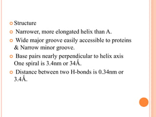  Structure
 Narrower, more elongated helix than A.
 Wide major groove easily accessible to proteins
& Narrow minor groove.
 Base pairs nearly perpendicular to helix axis
One spiral is 3.4nm or 34Ǻ.
 Distance between two H-bonds is 0.34nm or
3.4Ǻ.
 