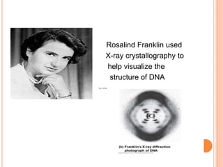 DNA strcture and function | PPTX