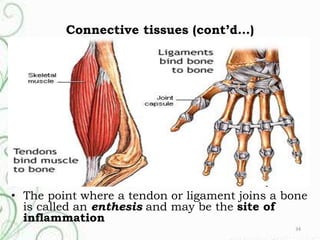 musculoskeletal Disorders | PPTX