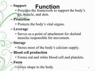 musculoskeletal Disorders | PPTX