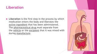 Liberation
 Liberation is the first step in the process by which
medication enters the body and liberates the
active ingredient that has been administered.
The pharmaceutical drug must separate from
the vehicle or the excipient that it was mixed with
during manufacture.
 