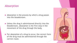 Absorption
 Absorption is the process by which a drug passes
into the bloodstream.
 Unless the drug is administered directly into the
bloodstream, absorption is the first step in the
movement of the drug through the body.
 For absorption of a drug to occur, the correct form
of the drug must be administered through the
correct route.
 