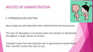 ROUTES OF ADMINISTRATION
 INTRAMUSCULAR INJECTION
Many drugs are well absorbed when administered intramuscularly.
The rate of absorption is increased when the solution is distributed
throughout a large volume of muscle.
Transport away from the injection site is governed by muscle blood
flow, and this varies from site to site.
 