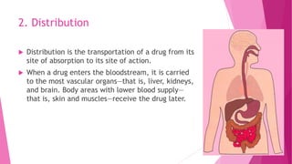 2. Distribution
 Distribution is the transportation of a drug from its
site of absorption to its site of action.
 When a drug enters the bloodstream, it is carried
to the most vascular organs—that is, liver, kidneys,
and brain. Body areas with lower blood supply—
that is, skin and muscles—receive the drug later.
 