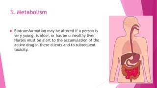 3. Metabolism
 Biotransformation may be altered if a person is
very young, is older, or has an unhealthy liver.
Nurses must be alert to the accumulation of the
active drug in these clients and to subsequent
toxicity.
 