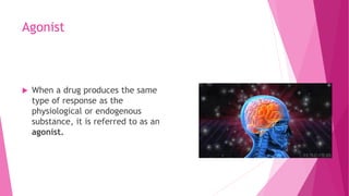 Agonist
 When a drug produces the same
type of response as the
physiological or endogenous
substance, it is referred to as an
agonist.
 