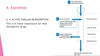 4. Excretion
 4. ACTIVE TUBULAR REABSORPTION
This is of minor importance for most
therapeutic drugs.
 