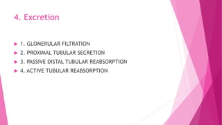 4. Excretion
 1. GLOMERULAR FILTRATION
 2. PROXIMAL TUBULAR SECRETION
 3. PASSIVE DISTAL TUBULAR REABSORPTION
 4. ACTIVE TUBULAR REABSORPTION
 