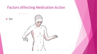 Factors Affecting Medication Action
 Sex
 