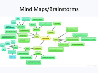 Mind Maps/Brainstorms
 