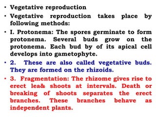 • Vegetative reproduction
• Vegetative reproduction takes place by
following methods:
• I. Protonema: The spores germinate to form
protonema. Several buds grow on the
protonema. Each bud by of its apical cell
develops into gametophyte.
• 2. These are also called vegetative buds.
They are formed on the rhizoids.
• 3. Fragmentation: The rhizome gives rise to
erect lea& shoots at intervals. Death or
breaking of shoots separates the erect
branches. These branches behave as
independent plants.
 