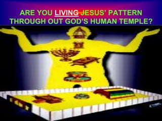 ARE YOU LIVING JESUS’ PATTERN
THROUGH OUT GOD’S HUMAN TEMPLE?
 