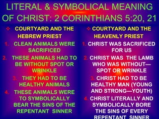 LITERAL & SYMBOLICAL MEANING
OF CHRIST: 2 CORINTHIANS 5:20, 21
 COURTYARD AND THE
HEBREW PRIEST
1. CLEAN ANIMALS WERE
SACRIFICED
2. THESE ANIMALS HAD TO
BE WITHOUT SPOT OR
WRINKLE
3. THEY HAD TO BE
HEALTHY ANIMALS
4. THESE ANIMALS WERE
TO SYMBOLICALLY
BEAR THE SINS OF THE
REPENTANT SINNER
 COURTYARD AND THE
HEAVENLY PRIEST
1. CHRIST WAS SACRIFICED
FOR US
2. CHRIST WAS THE LAMB
WHO WAS WITHOUT—
SPOT OR WRINKLE
3. CHRIST HAD TO BE
HEALTHY MAN (YOUNG
AND STRONG—YOUTH)
4. CHRIST LITERALLY AND
SYMBOLICALLY BORE
THE SINS OF EVERY
 