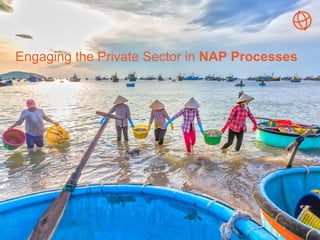 Engaging the Private Sector in NAP Processes
 