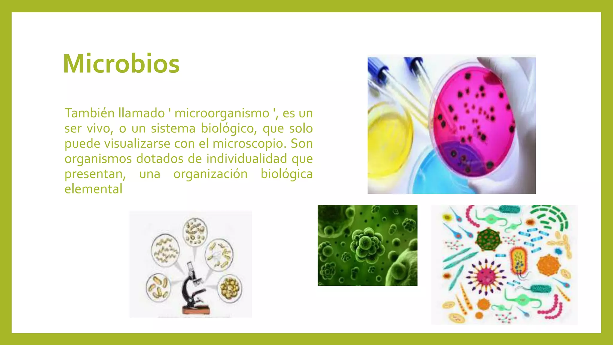 Microbios, | PPT