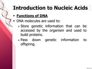  Functions of DNA
 DNA molecules are used to:
 Store genetic information that can be
accessed by the organism and used to
build proteins.
 Pass down genetic information to
offspring.
Introduction to Nucleic Acids
 