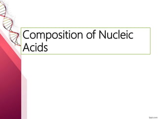 Composition of Nucleic
Acids
 