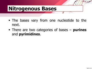 Nitrogenous Bases
 The bases vary from one nucleotide to the
next.
 There are two categories of bases – purines
and pyrimidines.
 
