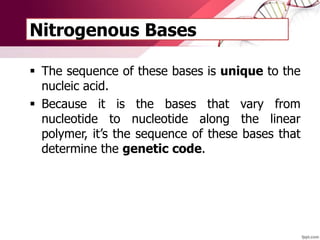 Nitrogenous Bases
 The sequence of these bases is unique to the
nucleic acid.
 Because it is the bases that vary from
nucleotide to nucleotide along the linear
polymer, it’s the sequence of these bases that
determine the genetic code.
 