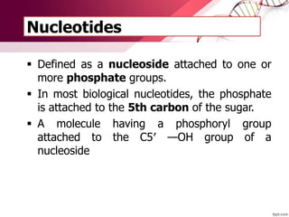 Nucleotides
 Defined as a nucleoside attached to one or
more phosphate groups.
 In most biological nucleotides, the phosphate
is attached to the 5th carbon of the sugar.
 A molecule having a phosphoryl group
attached to the C5′ —OH group of a
nucleoside
 