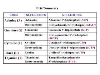 BASES NUCLEOSIDES NUCLEOTIDES
Adenine (A) Adenosine Adenosine 5’-triphosphate (ATP)
Deoxyadenosine Deoxyadenosine 5’-triphosphate (dATP)
Guanine (G) Guanosine Guanosine 5’-triphosphate (GTP)
Deoxyguanosine Deoxy-guanosine 5’-triphosphate
(dGTP)
Cytosine (C) Cytidine Cytidine 5’-triphosphate (CTP)
Deoxycytidine Deoxy-cytidine 5’-triphosphate (dCTP)
Uracil (U) Uridine Uridine 5’-triphosphate (UTP)
Thymine (T) Thymidine/
Deoxythymidie
Thymidine/deoxythymidie
5’-triphosphate (dTTP)
Brief Summary
 