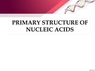 PRIMARY STRUCTURE OF
NUCLEIC ACIDS
 