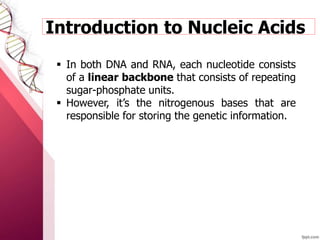 Introduction to Nucleic Acids
 In both DNA and RNA, each nucleotide consists
of a linear backbone that consists of repeating
sugar-phosphate units.
 However, it’s the nitrogenous bases that are
responsible for storing the genetic information.
 