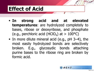 Effect of Acid
 In strong acid and at elevated
temperatures: are hydrolyzed completely to
bases, ribose or deoxyribose, and phosphate
(e.g., perchloric acid (HClO4) at > 100°C)
 In more dilute mineral acid (e.g., pH 3–4), the
most easily hydrolyzed bonds are selectively
broken. E.g., glycosydic bonds attaching
purine bases to the ribose ring are broken by
formic acid.
 