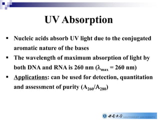  Nucleic acids absorb UV light due to the conjugated
aromatic nature of the bases
 The wavelength of maximum absorption of light by
both DNA and RNA is 260 nm (lmax = 260 nm)
 Applications: can be used for detection, quantitation
and assessment of purity (A260/A280)
UV Absorption
 