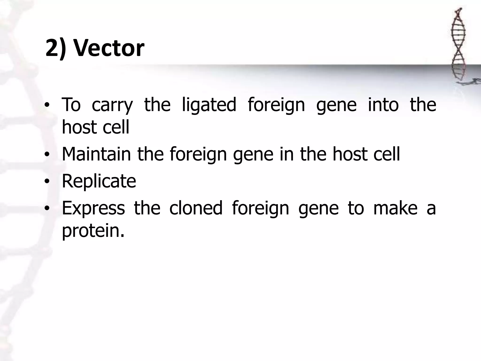 • To carry the ligated foreign gene into the
host cell
• Maintain the foreign gene in the host cell
• Replicate
• Express the cloned foreign gene to make a
protein.
2) Vector
 